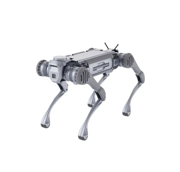 B2 Advanced quadruped rob